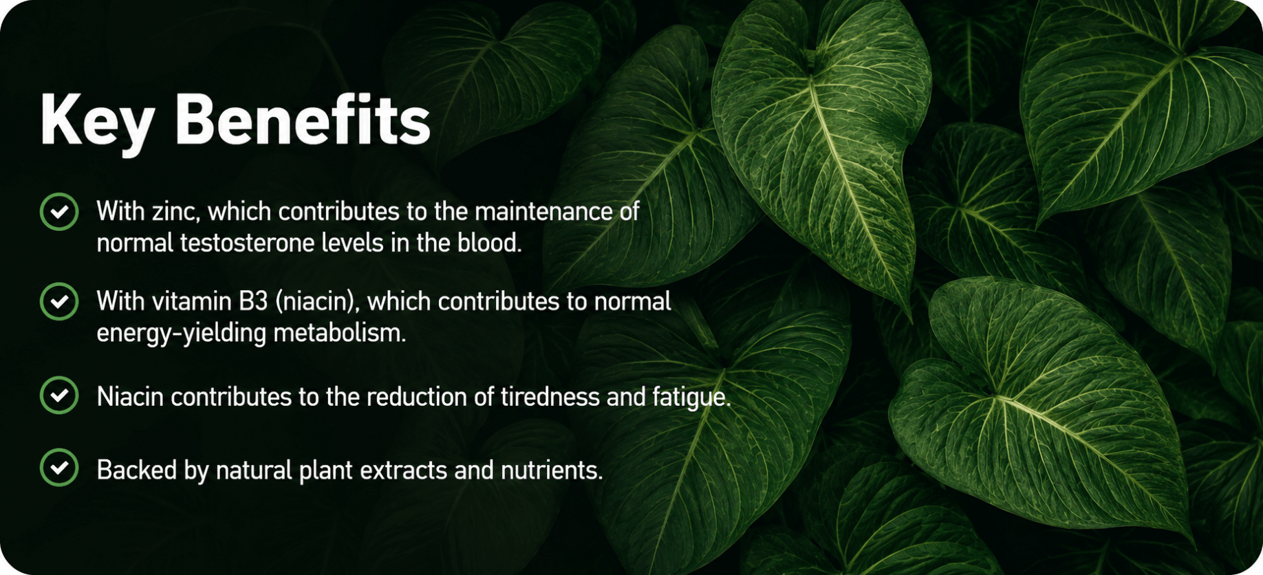 ForceVital product image